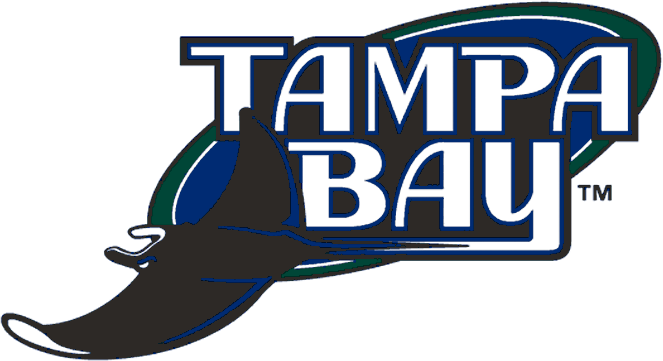 Tampa Bay Devil Rays 2001-2007 Primary Logo iron on transfers for clothing